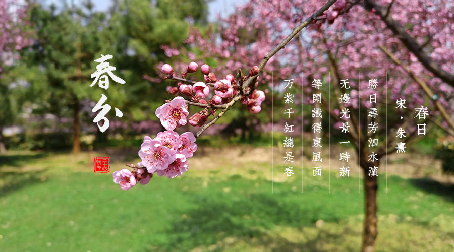 1647766943947079498.jpg 春分.jpg